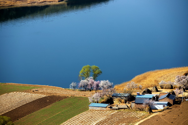 震湖风光_宁夏水利厅